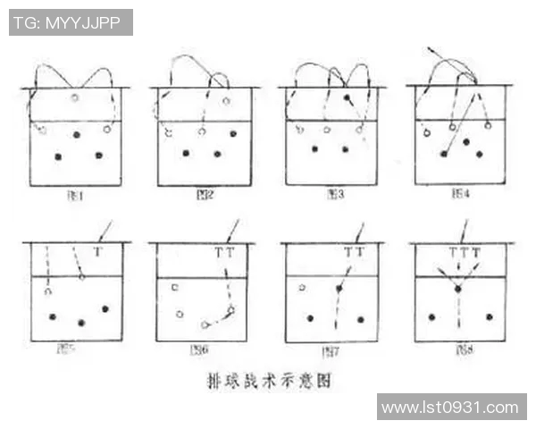 杭州排球队防反战术分析与比赛表现评估