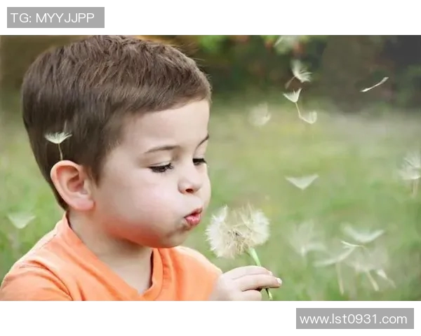 足球明星钟俊杰的成长历程与辉煌成就全解析