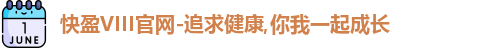 快盈VIII